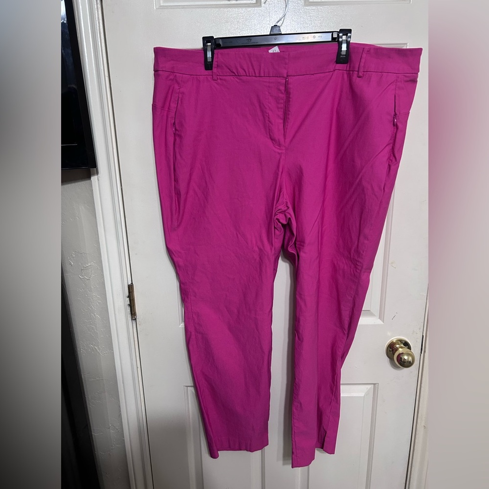 Lane Bryant hot pink ankle dress pants EUC size 24